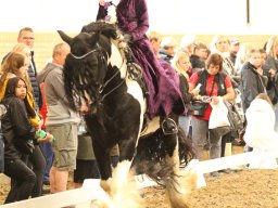 IMG_5361_web